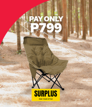 PAY ONLY P799