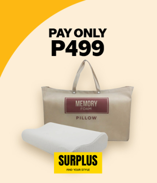 PAY ONLY P499