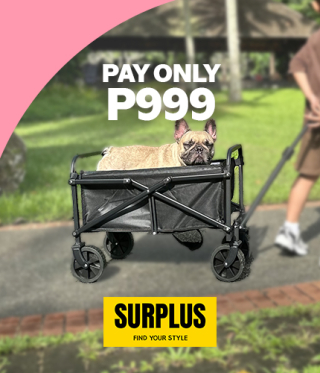 PAY ONLY P999