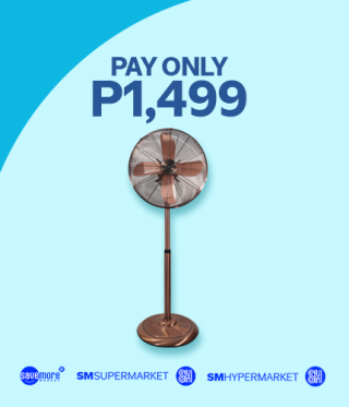 PAY ONLY P1,499
