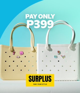 PAY ONLY P399