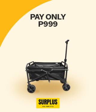 PAY ONLY P999