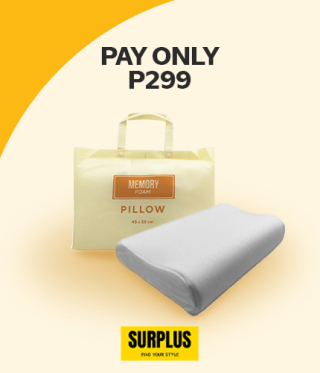 PAY ONLY P299